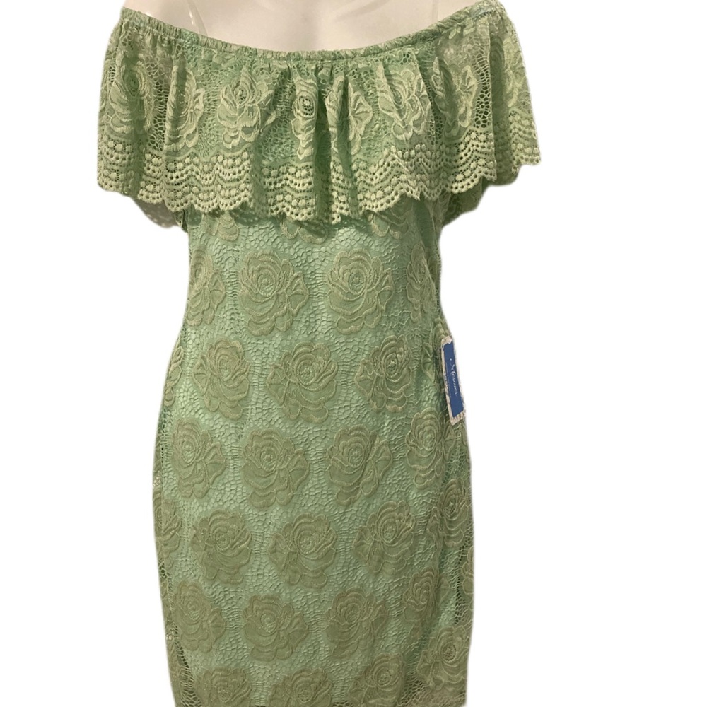 Mesmer Lace Off the Shoulder Dress
